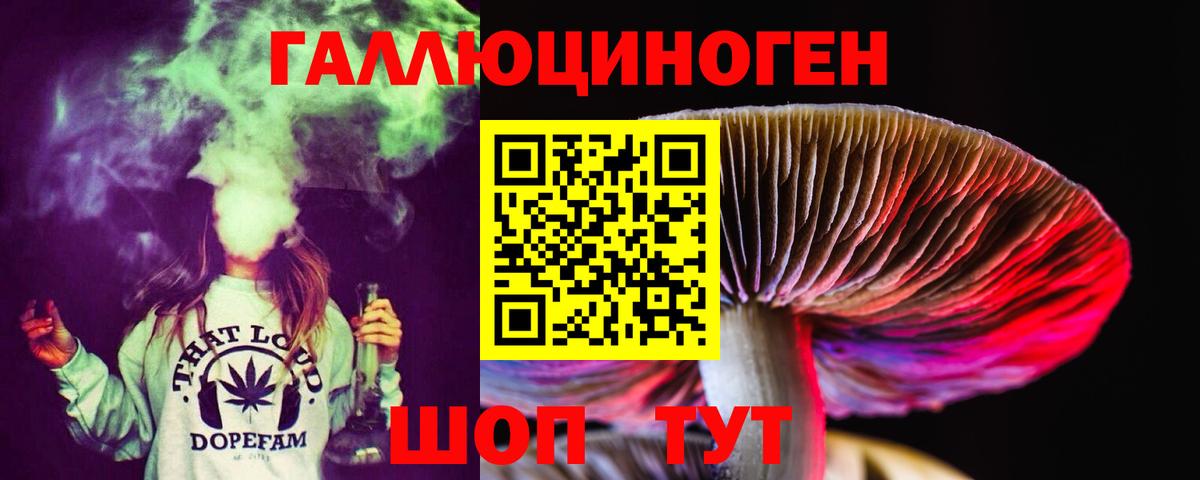 Галлюциногенные грибы Cubensis Урус-Мартан